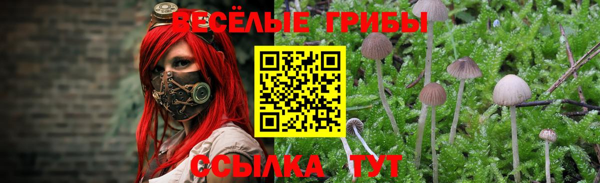 Псилоцибиновые грибы ЛСД  Вход с VPN  наркошоп  Борисоглебск 